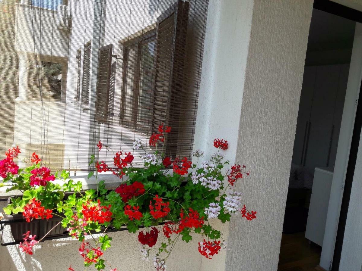 Apartments Ruzica Pula Exterior foto